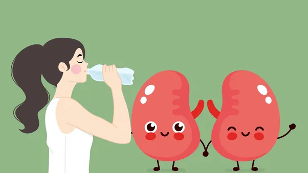 Keeping your kidneys healthy every day with simple habits