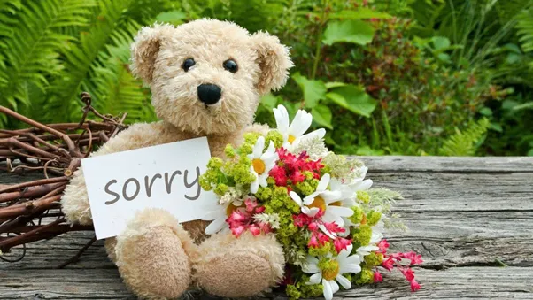 Apologies in Love - The Power of Sincerity