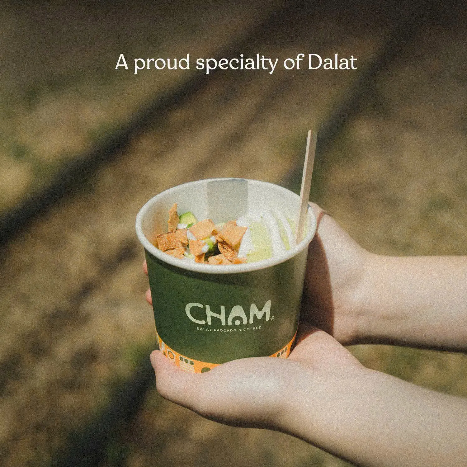 Cham Cafe & Kem Bo Da Lat: Touch the mountain town flavor, fall in love from the first spoonful of ice cream