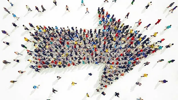 The Psychological Phantom in the Digital Age: When the Crowd Effect Manipulates Rationality