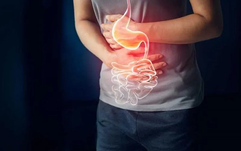 Hình ảnh bài viết