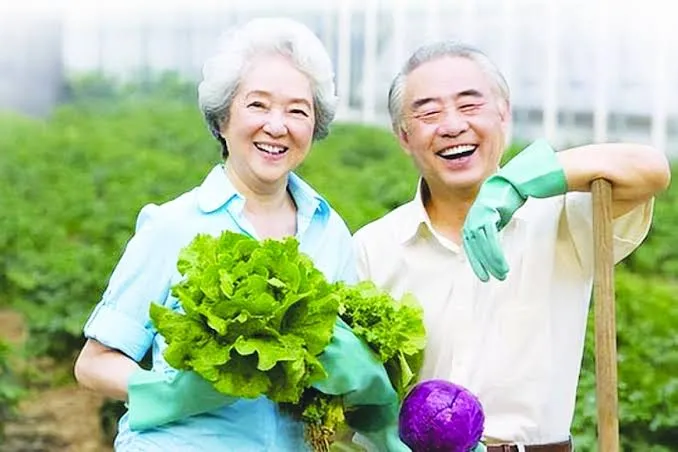 Hình ảnh bài viết